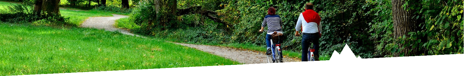 healthstyle page picture